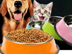 Pet Food by Swis Discount Shop