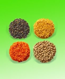 Dal or Lentil at Swis Discount Shop