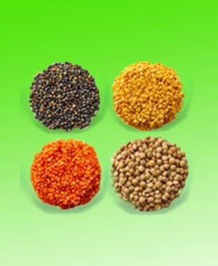 Dal or Lentil at Swis Discount Shop