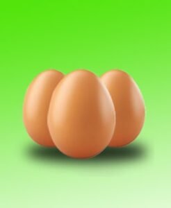 Egg at Swis Discount Shop-min